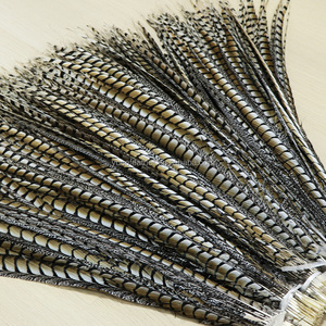 Plumes de faisan de 100 cm en gros, teintes directement, naturelles et brutes, pour décorations de carnaval et de fête - Product Image 3