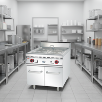 Cuisinière à pâtes au gaz Wiberda, armoire verticale, acier inoxydable, usage intensif, grande capacité, 2200W, garantie 1 an, professionnelle