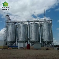 Silo Agricolo a Fondo a Tramoggia per Alimenti Zootecnici e Stoccaggio Grano, Capacità 100-2000 Tonnellate