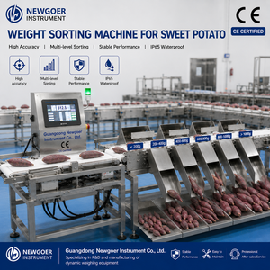 Machine de tri et de calibrage des patates douces avec convoyeur industriel et peseuse multi-têtes intégrée - Product Image 1