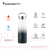 Bouteilles d'eau isothermes portables haut de gamme en acier inoxydable pour adultes, avec couvercle en acier inoxydable, anti-fuite et sans BPA, idéales pour le sport et la gym