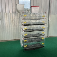Cages d'élevage de cailles de type H à 6 étages, 1,2 m de long, poulailler pour cailles aux États-Unis