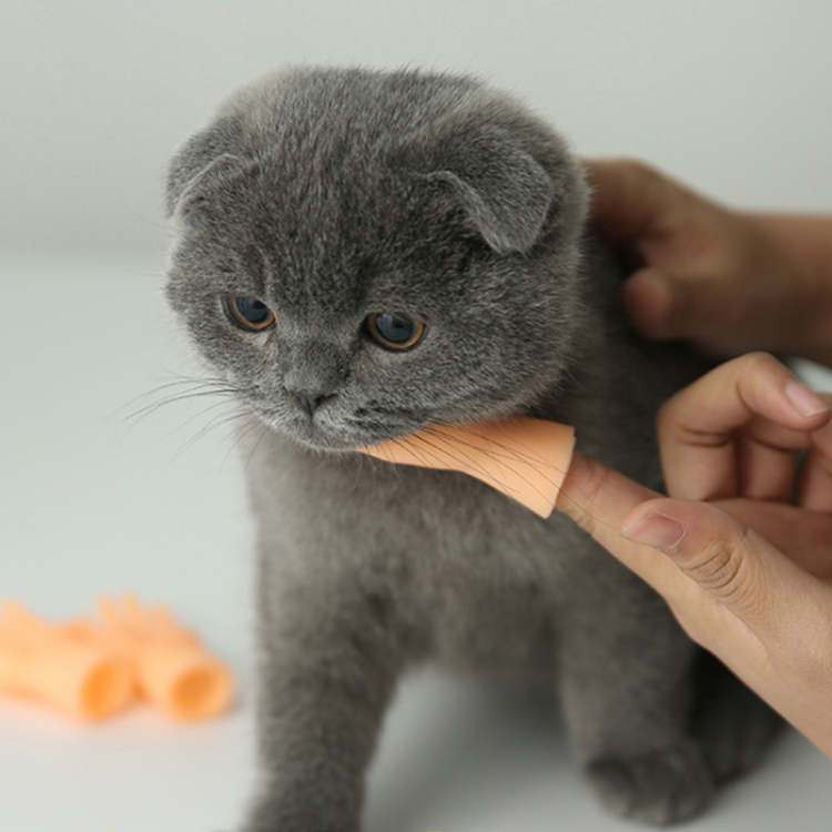 Special Pets Fun Pranks Pets Toys Hotsale Rubber Puppy Toys Cats Playing