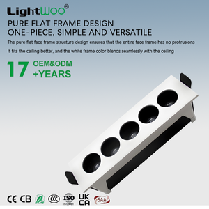 Plafonnier LED carré linéaire encastré anti-éblouissement pour intérieur, 5*2W 10W, 2 têtes, blanc/noir, Ra90 - Product Image 2