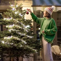 Luces de Navidad Cálidas Blancas con Efecto de Chispero, Funcionan con Pilas, Regulables, Cable Verde Oscuro, Decoración Colgante para Interiores
