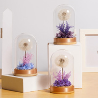 TC venta al por mayor diente de león natural flores preservadas cúpula de cristal decoración del hogar para regalo del Día de San Valentín para novia esposa mamá