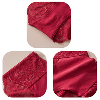 Vente Chaude Lingerie Femme Sexy Entièrement en Dentelle Taille Mi-Haute Respirante Culottes pour Femme Vente en Gros Personnalisée Grande Taille Usine de Lingerie