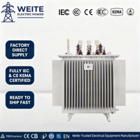 Transformador Trifásico Sumergido en Aceite 11kV 500kVA 800kVA 1000kVA 400V Serie S13 Enfriamiento ONAN Cobre IP54 Subestación