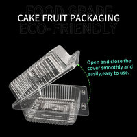 Vente en gros 500g clair à clapet en plastique conteneur de fruits boîtes en plastique pour fruits légumes PET fruits salade conteneur sans trou