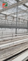 Système de serre agricole multi-travées ZhuoTai ZT-18 avec structure en acier personnalisée et couverture en PE pour la culture des myrtilles