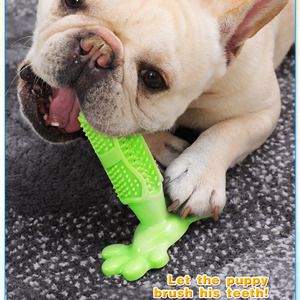 Suministros para mascotas al por mayor, cepillos dentales resistentes a mordidas para perros, cepillos de dientes de juguete con succión TPR Teddy para perros - Product Image 6