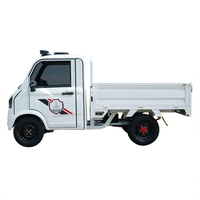 Mini camion de transport pour énergies nouvelles, camionnette agricole, moteur 2000W, batterie 60V/72V, autonomie 80-100km