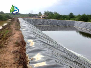 Revestimento de Lago Artificial Cor Azul/Preto Geomembrana HDPE para Lago - Product Image 6