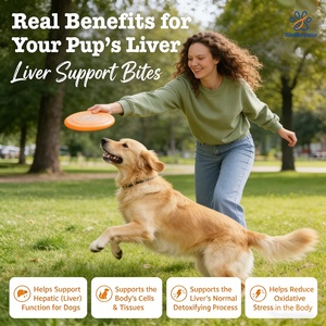 Integratore OEM/ODM per il Supporto del Fegato dei Cani con Estratto di Cardo Mariano, Curcuma e Colina per la Funzione Epatica Canina - Product Image 4