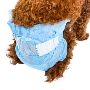 Pannolini monouso per cani femmina XL con controllo degli odori per animali domestici pannolini impermeabili