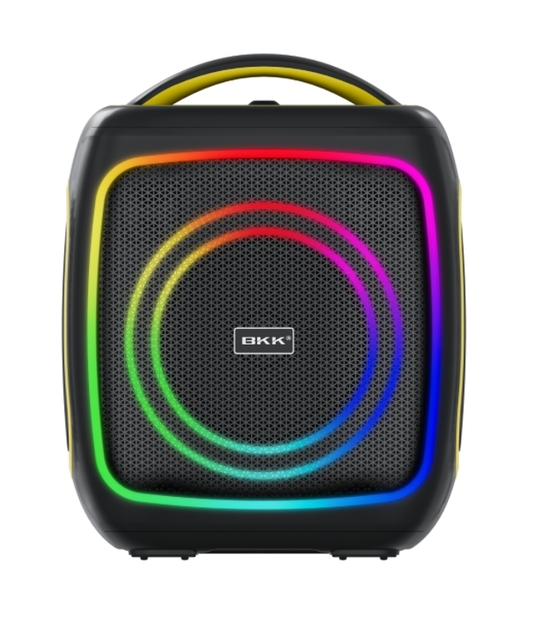 Factory BKK B45 Premium Party Speaker 50W High Quality Soundbox ABS+Metal Handle Competitive Price Portable for