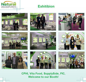 Extrato de <span class=keywords><strong>tribulus</strong></span> <span class=keywords><strong>terrestris</strong></span>, venda quente, extrato livre de amostra <span class=keywords><strong>tribulus</strong></span> <span class=keywords><strong>terrestris</strong></span>, pó de extrato 90% - Product Image 3