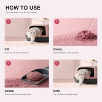 Litière pour chat en bentonite de sodium Miya OEM ODM, veine rose, 99,1 %, contrôle des odeurs, très faible teneur en poussière, forte absorption, 4,55 kg
