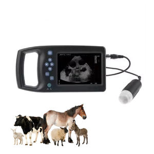 Ecógrafo Veterinario Económico de Nivel Básico para Animales, Escáner Portátil en Blanco y Negro con Indicador LED de Batería, para Uso en Clínicas Caninas, Felinas y Equinas - Product Image 2