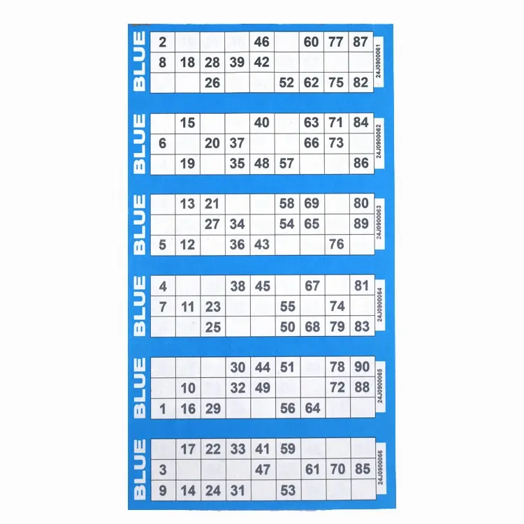Fabricage Custom Bingokaarten Papieren Vellen Bingospelboek Herbruikbare Afdrukbare Nummers Bingokaarten