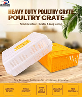 Caisse de transport robuste en plastique pour volailles, idéale pour l'élevage et le transport de poulets vivants