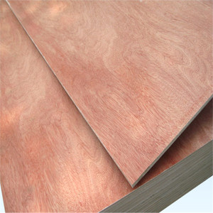 Contrachapado de Grado MR/<span class=keywords><strong>BWR</strong></span>/BWP, Contrachapado de Bintangor - Product Image 4