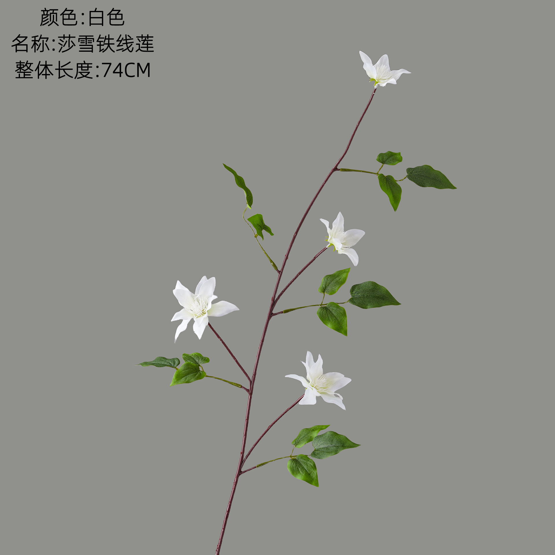 Blanc