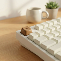 Custom MX Switch Keyboard Keycaps Diy Fidget Button Keychain MOA OEM Cherry Printed Logo Keycaps Mechanical Keyboard Caps