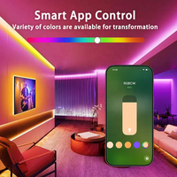 Bilihondim Matter Over Thread Dimmer RGB Digital Box Strip Controller Google Assistant 200W Contrôle sans fil Couleurs complètes