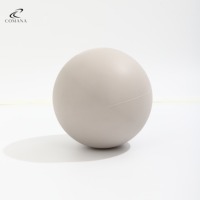 Kit d'accessoires de fitness COMANA Factory OEM pour Pilates et Yoga : Anneau de Pilates, ballon et bandes, poids de cheville pour la maison et la salle de sport