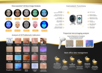 Analyseur de peau intelligent 3D de bureau avec écran 15,6 pouces, scanner d'hydratation, de rides, d'acné et de pigmentation, portable et stockage cloud