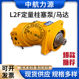 ปั๊มไฮดรอลิกแบบลูกสูบ AVIC L2F 625 ลิตร/นาที แรงบิด 398 นิวตันเมตร ตัวปั๊มทำจากเหล็กหล่อ ขับเคลื่อนด้วยมอเตอร์ ปั๊มแบบปริมาตรคงที่ - Product Image 4