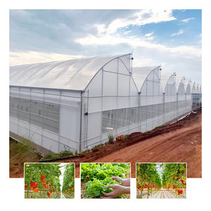 Système <span class=keywords><strong>de</strong></span> culture <span class=keywords><strong>de</strong></span> tomates à grande échelle, kit <span class=keywords><strong>de</strong></span> <span class=keywords><strong>serre</strong></span> agricole multi-chapelles en film, <span class=keywords><strong>serre</strong></span> agricole - Product Image 1