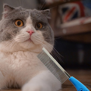 Spazzola toelettatura per animali domestici in acciaio inossidabile per pettine delle pulci e pelliccia di gatto strumento di pulizia - Product Image 4
