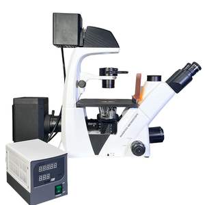 青田ケーラー照明インバーテッド生物蛍光顕微鏡ブルーグリーンフィルター強化視認性と透明度 - Product Image 6