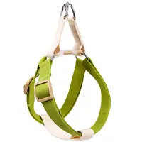 Imbracatura per cani personalizzata con servizio personalizzato Set di guinzagli in cotone collare reversibile imbracatura regolabile per cani