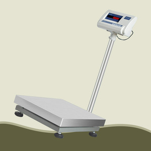 उच्च परिशुद्धता इलेक्ट्रॉनिक कार्यशाला बेंच स्केल औद्योगिक फ्लोर-माउंटेड इलेक्ट्रॉनिक वजन स्केल - Product Image 5