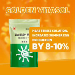Hayvancılık kümes hayvanları için Premium Multivitamin yem katkı <span class=keywords><strong>C</strong></span> vitamini kompleks stres giderici tasarlanmış beslenme dengesini arttırır - Product Image 4