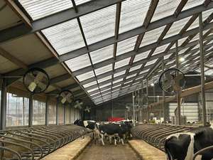 Ventilatori a flusso assiale della ventola di ventilazione industriale altri ventilatori - Product Image 3