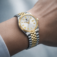 Montre mécanique pour homme, montre mécanique de luxe, montre mécanique pour homme, plongée professionnelle, résistante à l'eau 300 m, lunette tournante