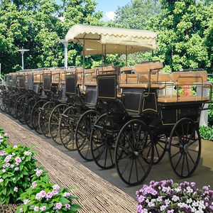 Maratón turístico, carruaje tirado por caballos - Product Image 5