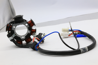 OEM Quality Factory Customized Magnetic Stator Coil Motorcycle Electrical Systems Accessory for Yamaha YBR 125 2000-2001