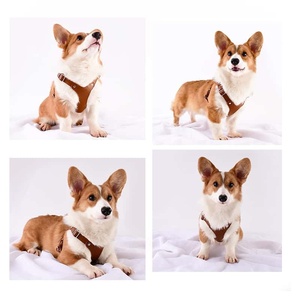 Harnais de Poitrail et de Dos Haut de Gamme pour Grand <span class=keywords><strong>Chien</strong></span>, en PU Souple et Luxueux, Durable, Imperméable, Antidérapant, Sans Fourrure, Sportif, à Boutons Ajustables, Confortable - Product Image 3