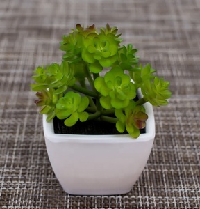 Barato de la fábrica al por mayor mini <span class=keywords><strong>cactus</strong></span> surtido interior decorativo artificial plantas suculentas macetas para laventa - Product Image 5