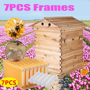 ऑटो शेड 7 पीसी बीहीव रन शहद हिव फ्रेम के साथ सीडारवुड सुपर ब्रोड बॉक्स - Product Image 3