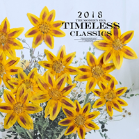 Bingkai Bunga Taman Cosmos Kerajinan Tangan Scrapbooking Resin Epoksi Tanaman Alami Ramah Lingkungan