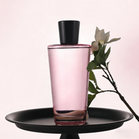 Bouteilles en verre personnalisées de grande capacité 500 ml 1000 ml, diffuseur de parfum d'ambiance longue durée pour la maison, huile essentielle avec bâtonnets