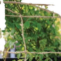 Stabilisateur UV Filet de jute 2m x 5m pour plantes grimpantes de jardin