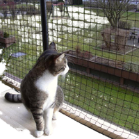 Filet de sécurité pour chat en acier inoxydable 1.2mm renforcé de nylon noir vert et beige pour balcon 3*2m 3*4m 3*6m 3*8m allemagne espagne