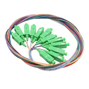 12 Core 1M Simplex Duplex Singlemode Multimode Mm Sm Om3 Om4 Optische Patch Cord Staartjes St Fc Lc Sc apc Upc Fiber Optic Pigtail